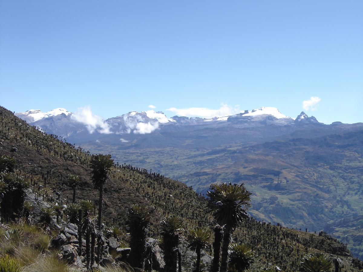 Hotel San Gabriel El Cocuy ภายนอก รูปภาพ